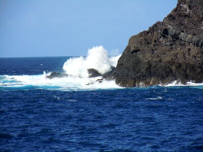 Sea rock scum