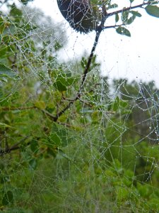 Moisture drops fog