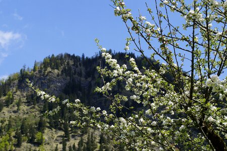 Landscape hiking nature