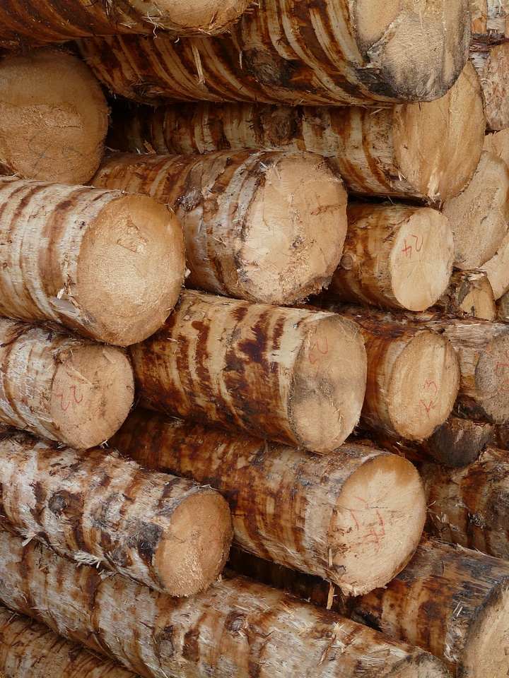 Holzstapel woodworks peeled