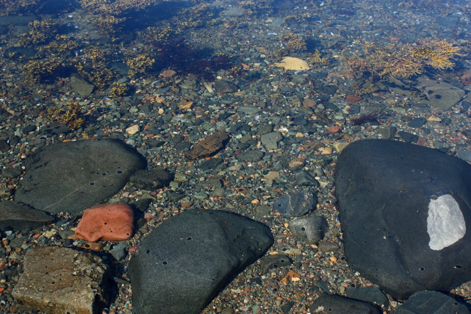 Beach coast