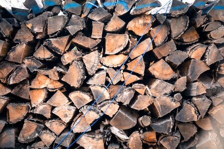 Combustible firewood fuel photo