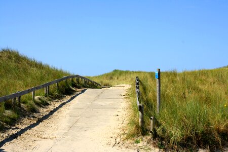 Dune beach north sea