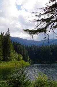 Water forest mountains photo