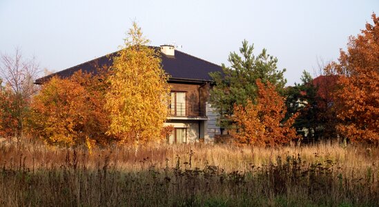 Live peace of mind autumn