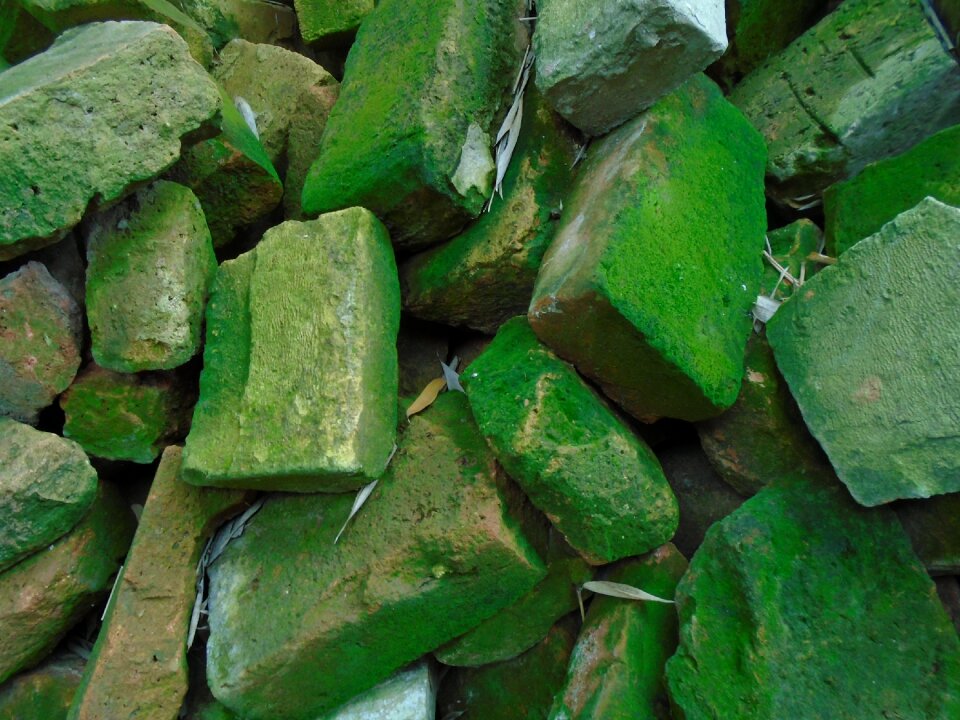 Mossy building materials pile