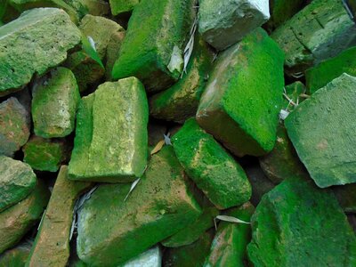 Mossy building materials pile