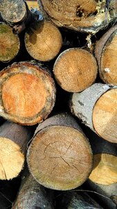 Holzstapel nature storage