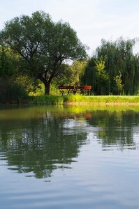 Reflection nature lake