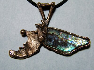 Seashell paua head
