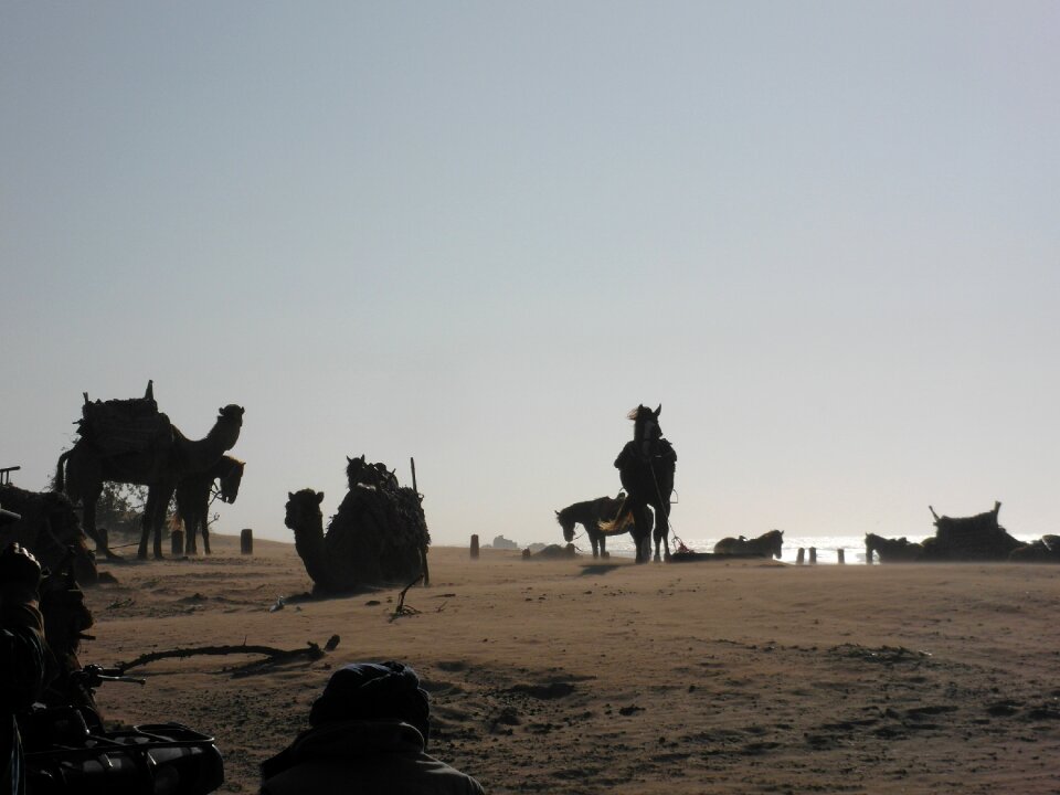 Beach wind essaouira