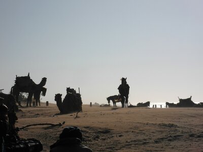 Beach wind essaouira