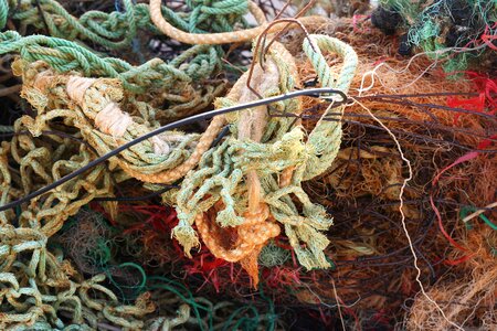 Flotsam environment web