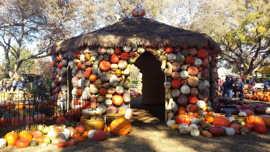 Pumpkin house pumpkins