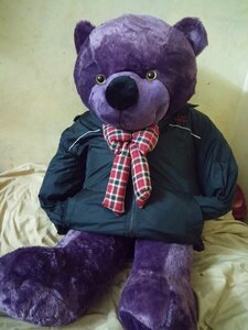 Purple dressing up teddy