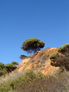 Coast nature portugal