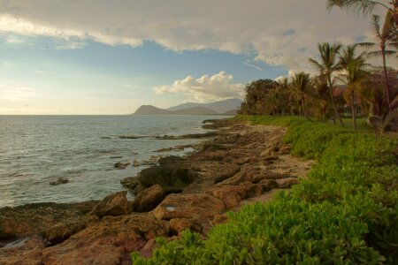 Ocean reef photo