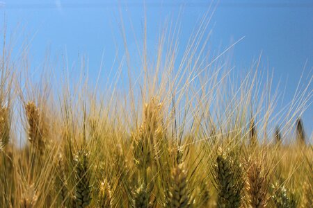 Nature campaign agriculture