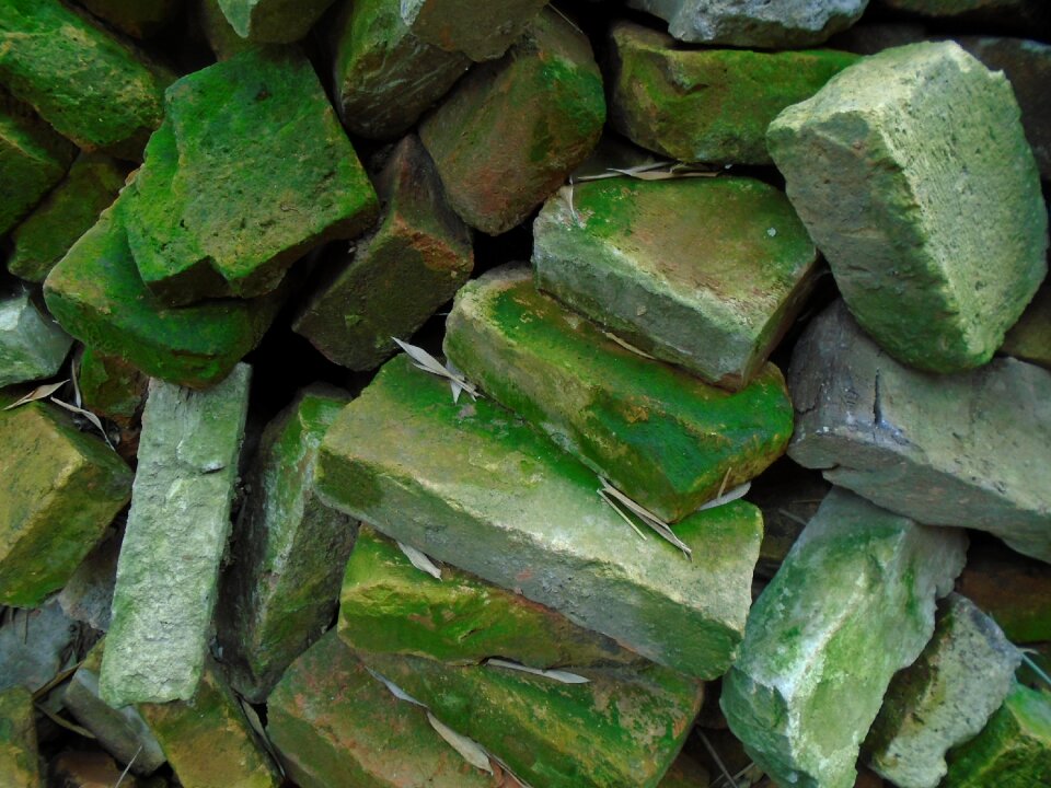 Mossy building materials pile