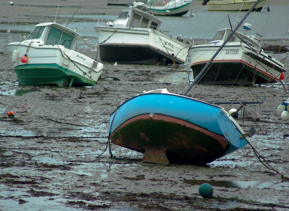 Boats fishing port anchorage