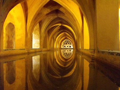 Yellow reflection arches