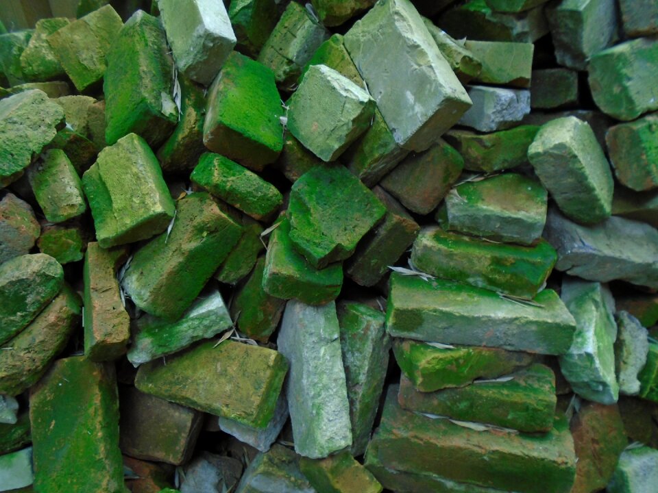 Mossy building materials pile