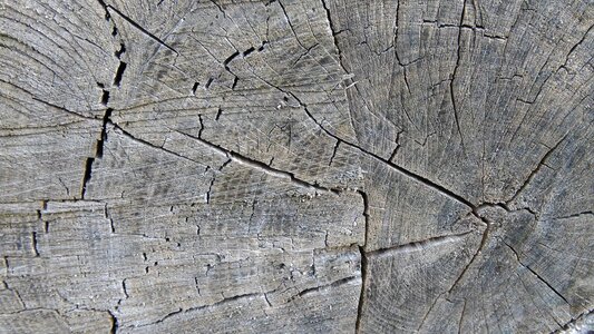 Weathered grain structure photo