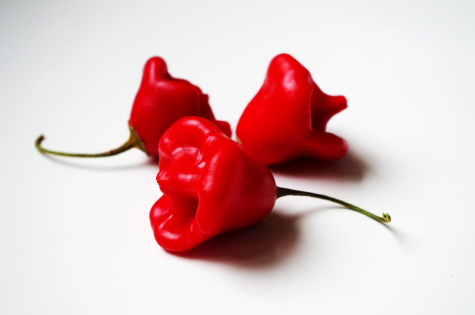 A variety habanero fresh
