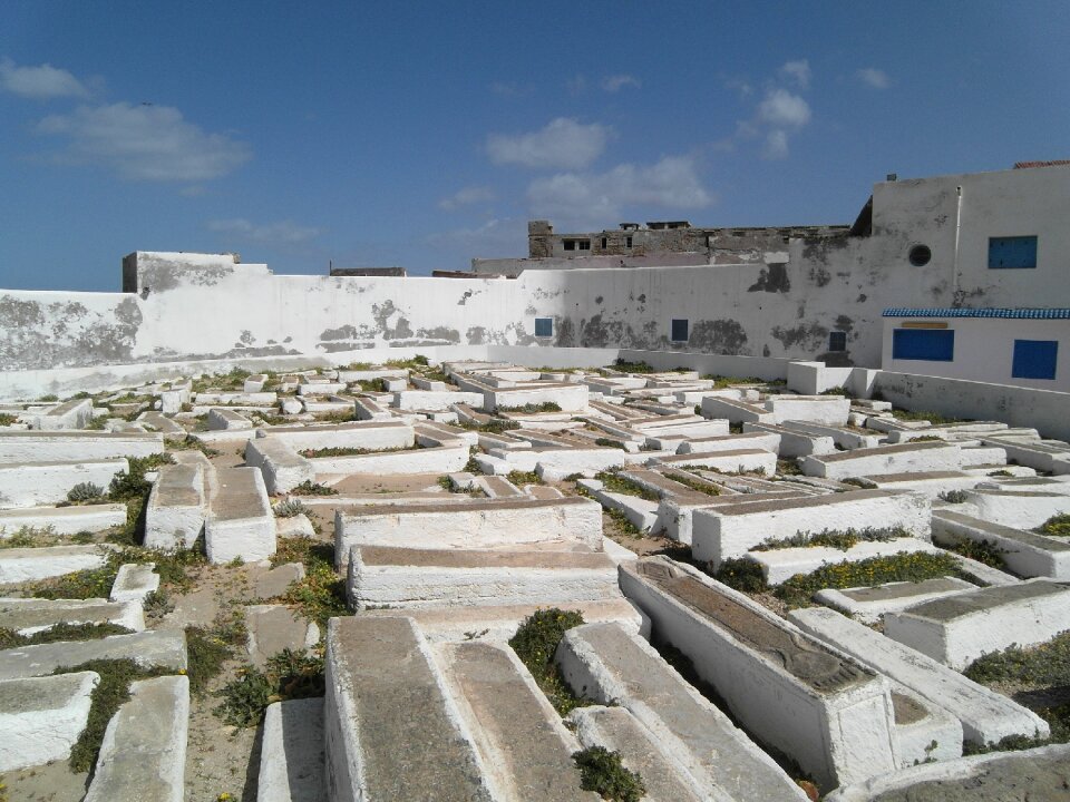 Africa graves white