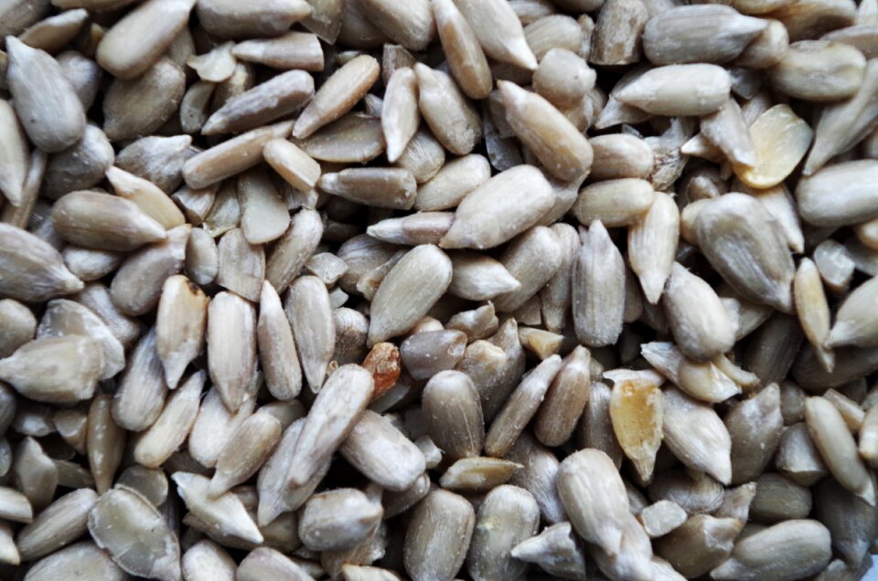 Seeds meal healthy