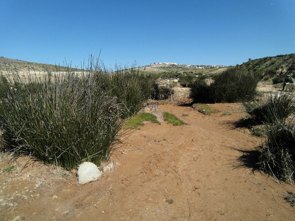 Nature africa dune