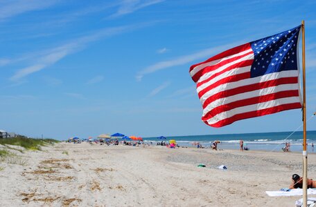 Usa national symbol photo