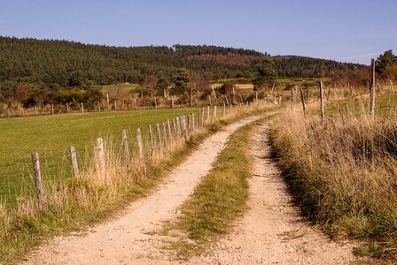 Lozère pasture path photo