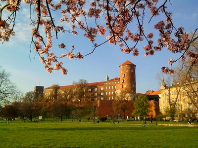 Wawel spring monument