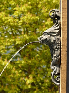 Water drainage architecture