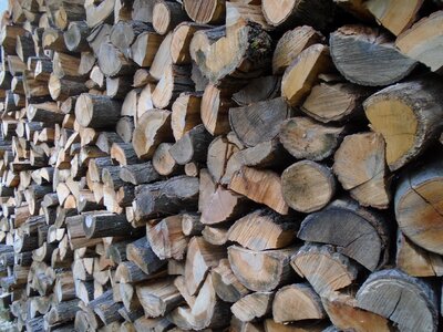 Nature cut firewood photo