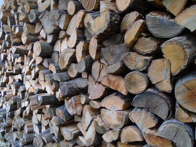 Nature cut firewood