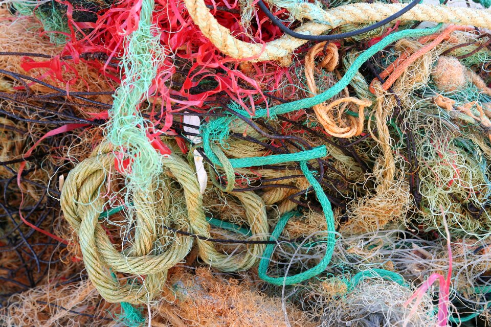 Flotsam environment web