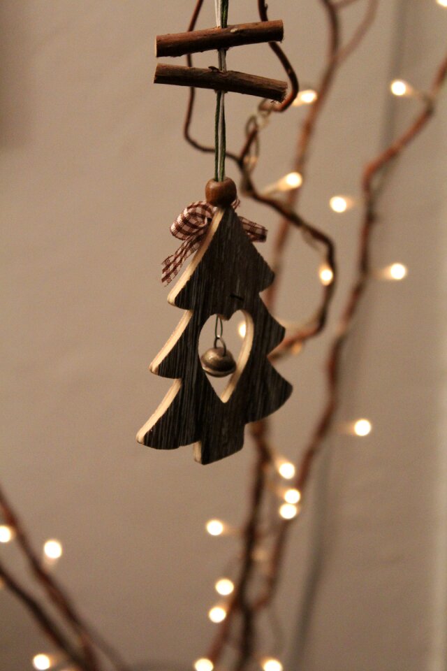 Christmas light nature