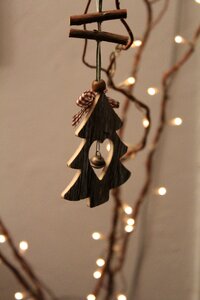 Christmas light nature