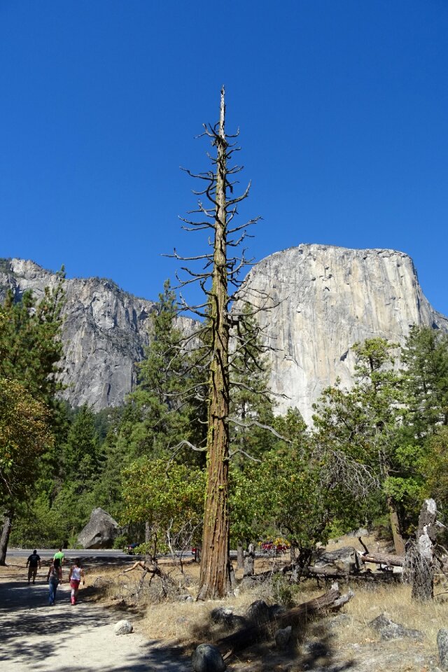 Panorama rock formation monolith