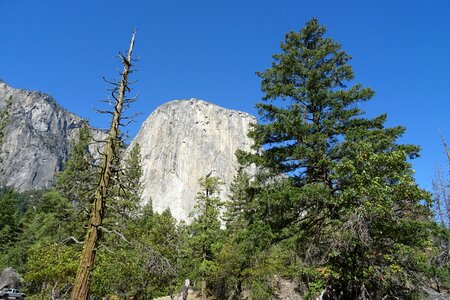 Incense cedar rock formation monolith