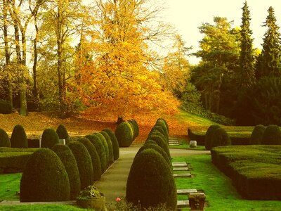 Ohlsdorfer cemetery rest mourning photo