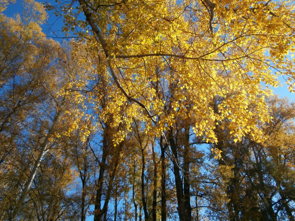 Stroll landscape autumn beach