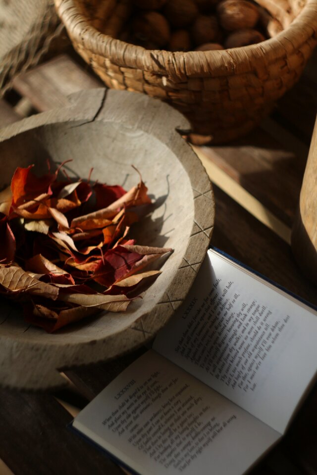 Mood sonnet still life