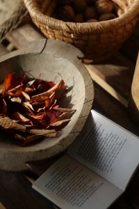 Mood sonnet still life