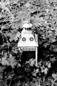 Lighting nature gartendeko