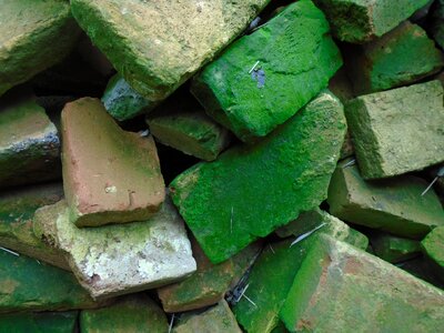 Mossy building materials pile