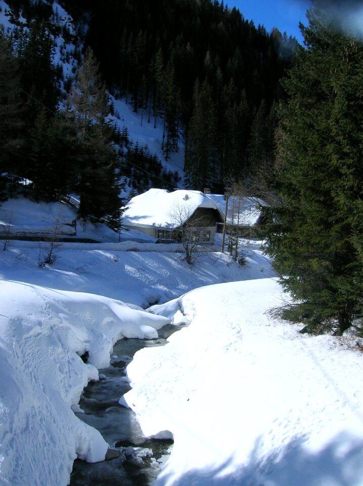 Cold nature snowy