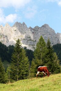 Mountains alpine scenery nature